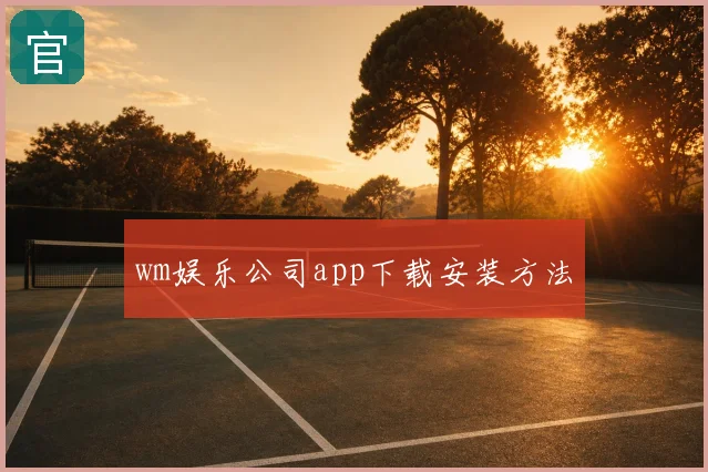 wm娱乐公司app下载安装方法