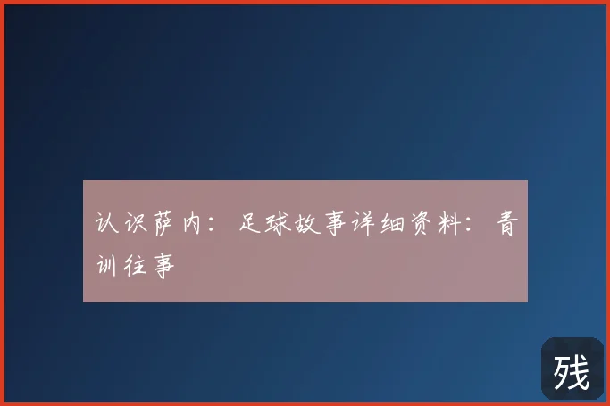 认识萨内：足球故事详细资料：青训往事
